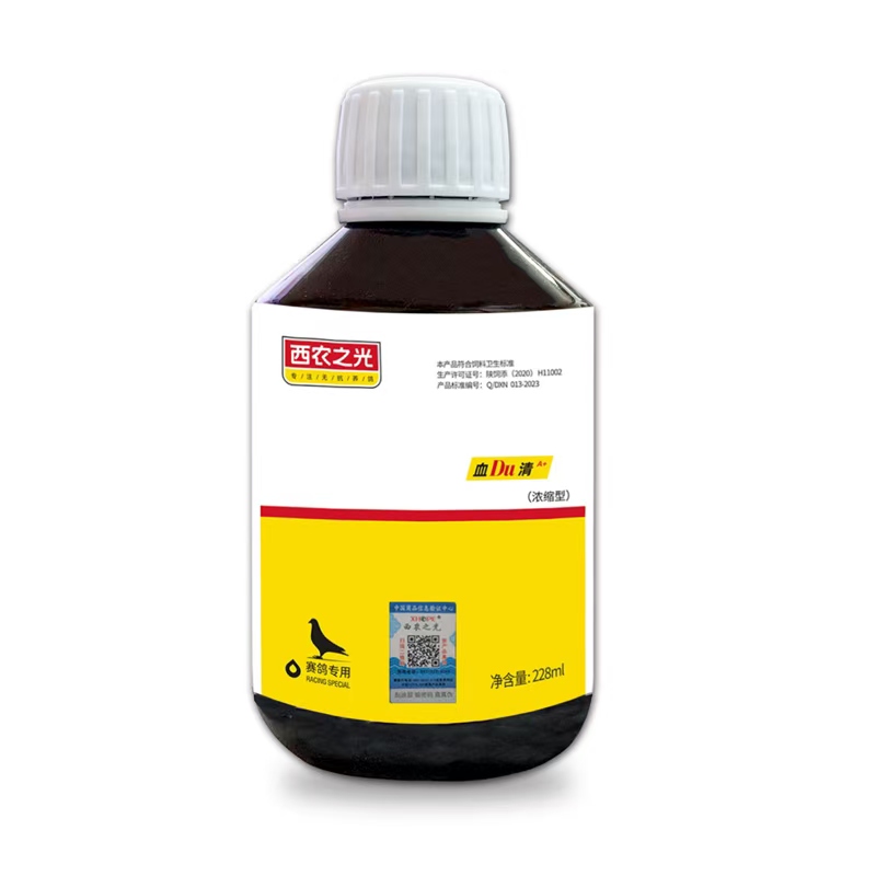 西农之光血DU清赛鸽种鸽