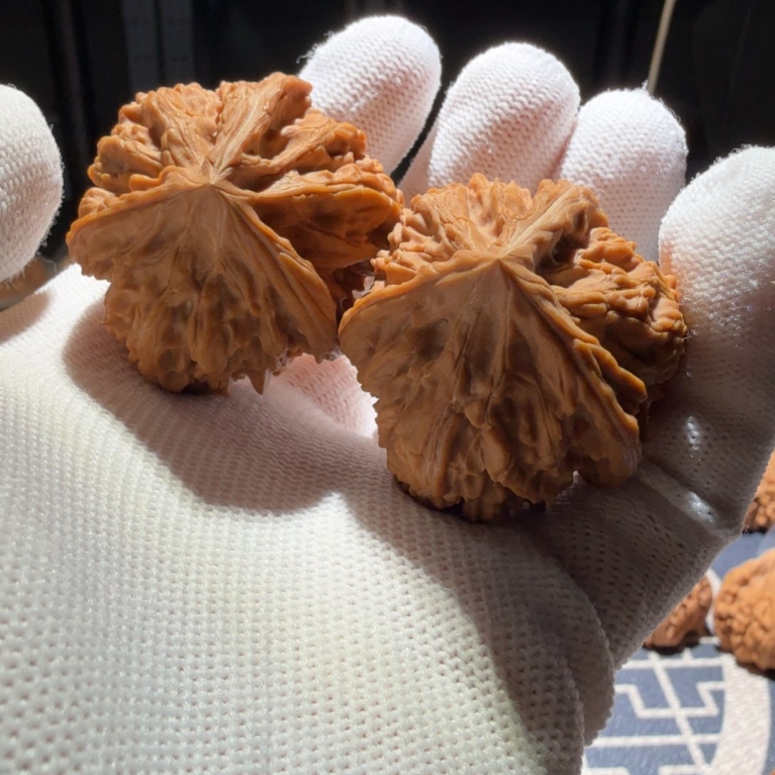 文玩核桃吊坠御龙正奔