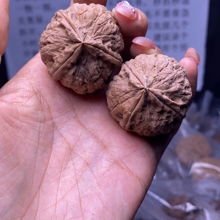 核桃云南野生铁核桃178号37mm