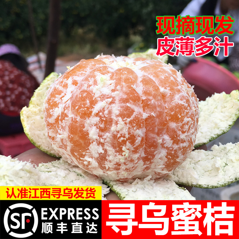 顺丰包邮】江西赣南寻乌蜜桔青皮无籽酸甜新鲜应季孕妇水果5斤橘子