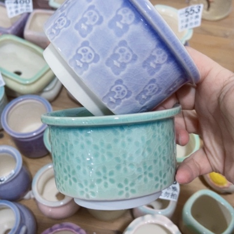 红陶陶瓷多肉花盆