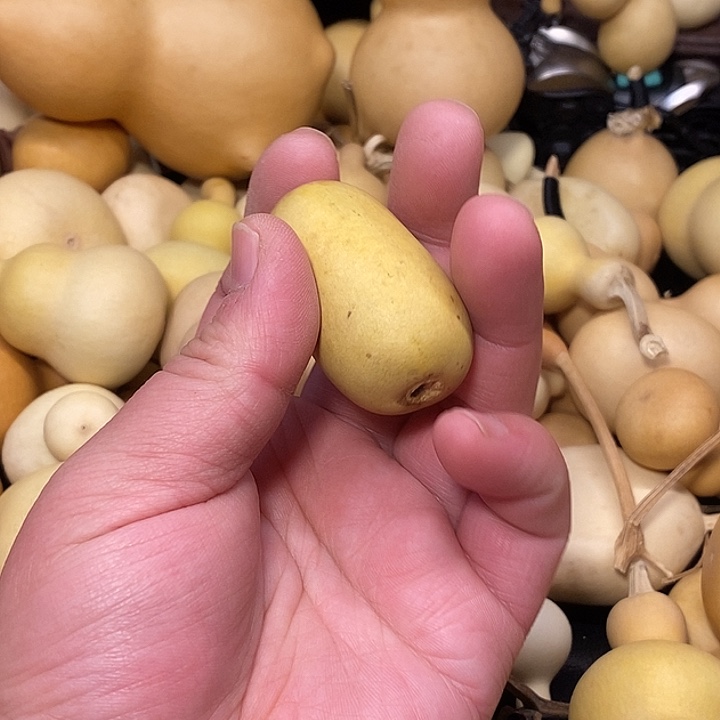 废***纸精品葫芦手把葫芦92