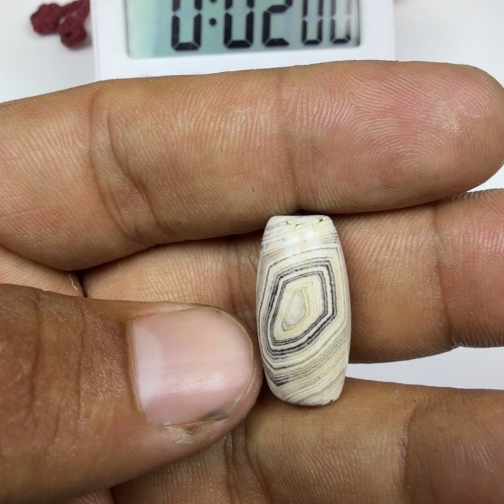 维***命原生态小元素公子