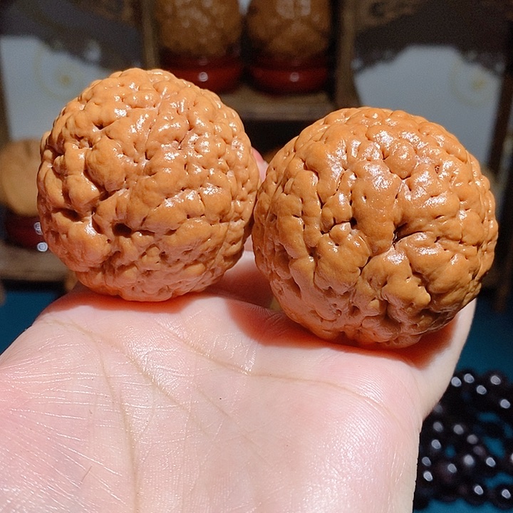 野生三瓣脑纹大金刚4548