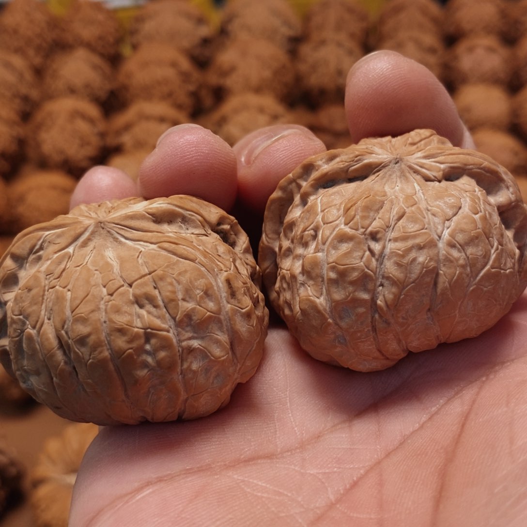 文玩核桃把件45尺 全品南瓜蛇头 6