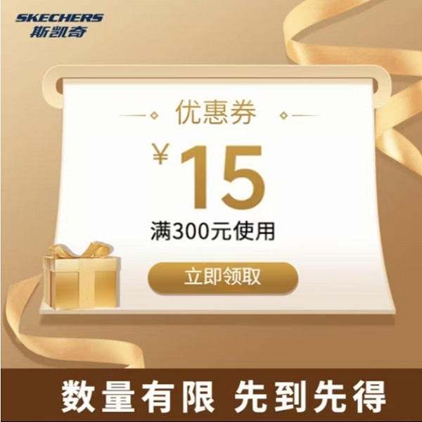 会员秒杀券300减15【本单不可退】