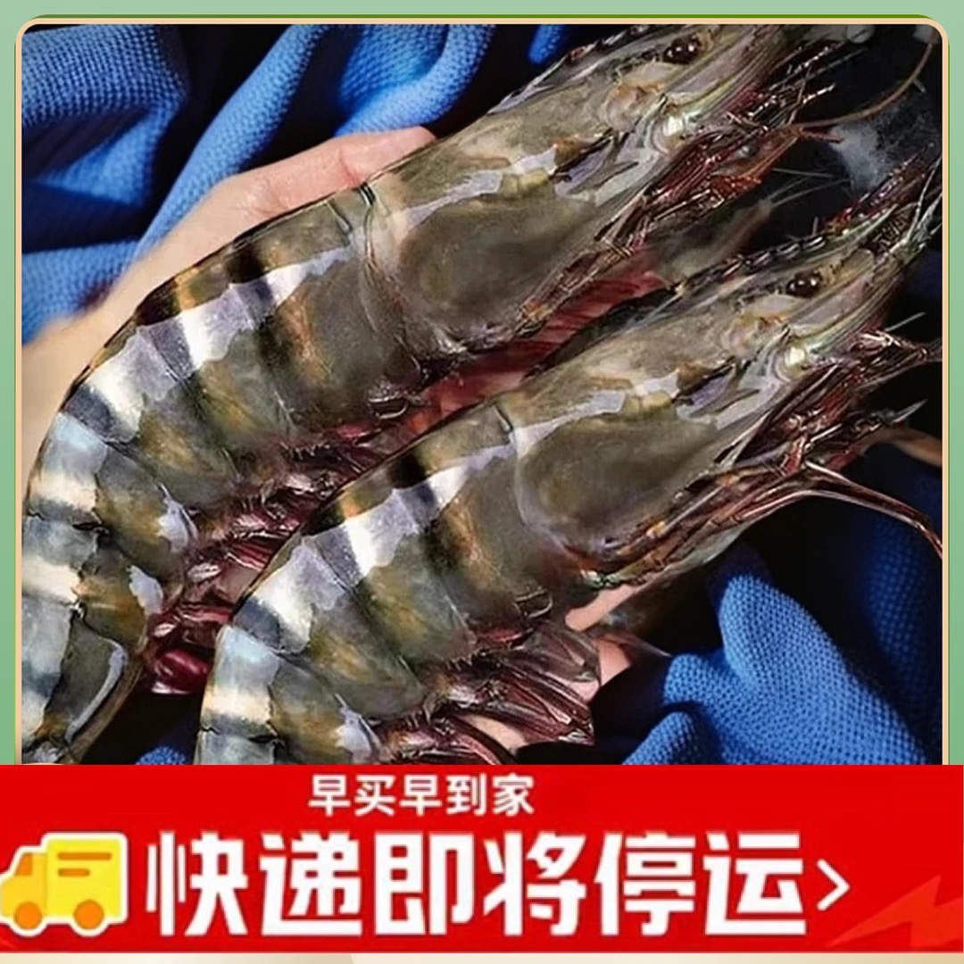AA【10-15】巨无霸黑虎虾速冻发货5-8只/斤3斤15-24只/盒