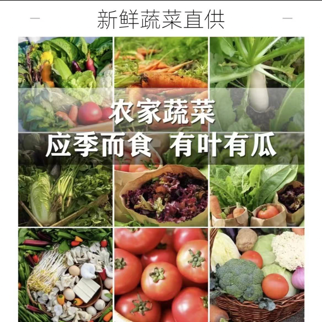 贵州农家自种蔬菜