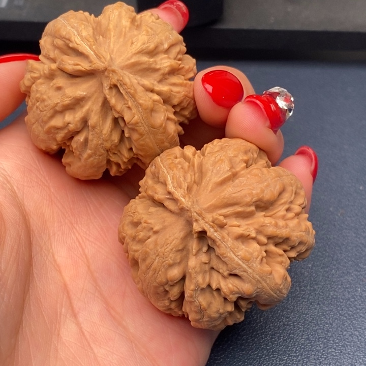 千***里霸王龙全品无刀休