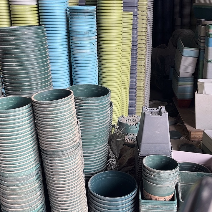 瑕疵带字母2加伦控根形发10个