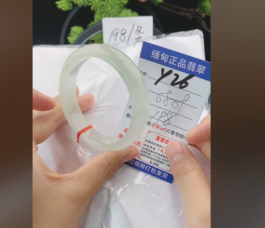 Y26缅甸翡翠手镯处理198/条【一物一证】实物以直播间为准