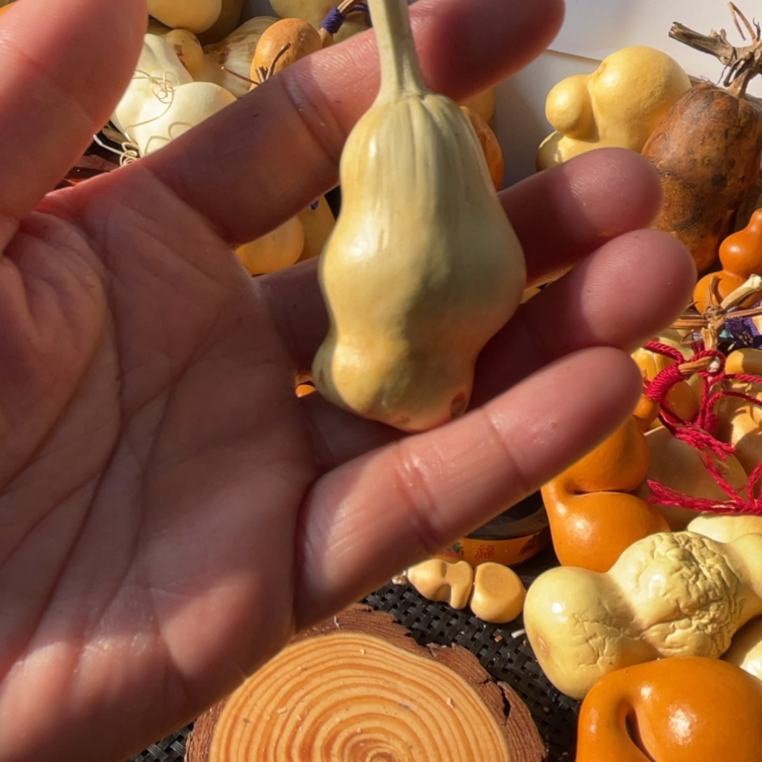 一***士葫芦葫哈哈哈哈哈哈哈哈