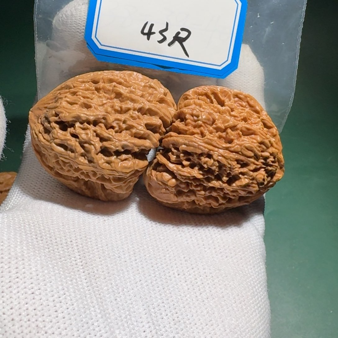 好***来吊坠文玩核桃27号南疆色差黄微裂