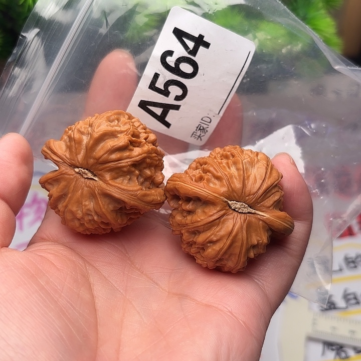 幸***生把件桃核核桃白狮子41