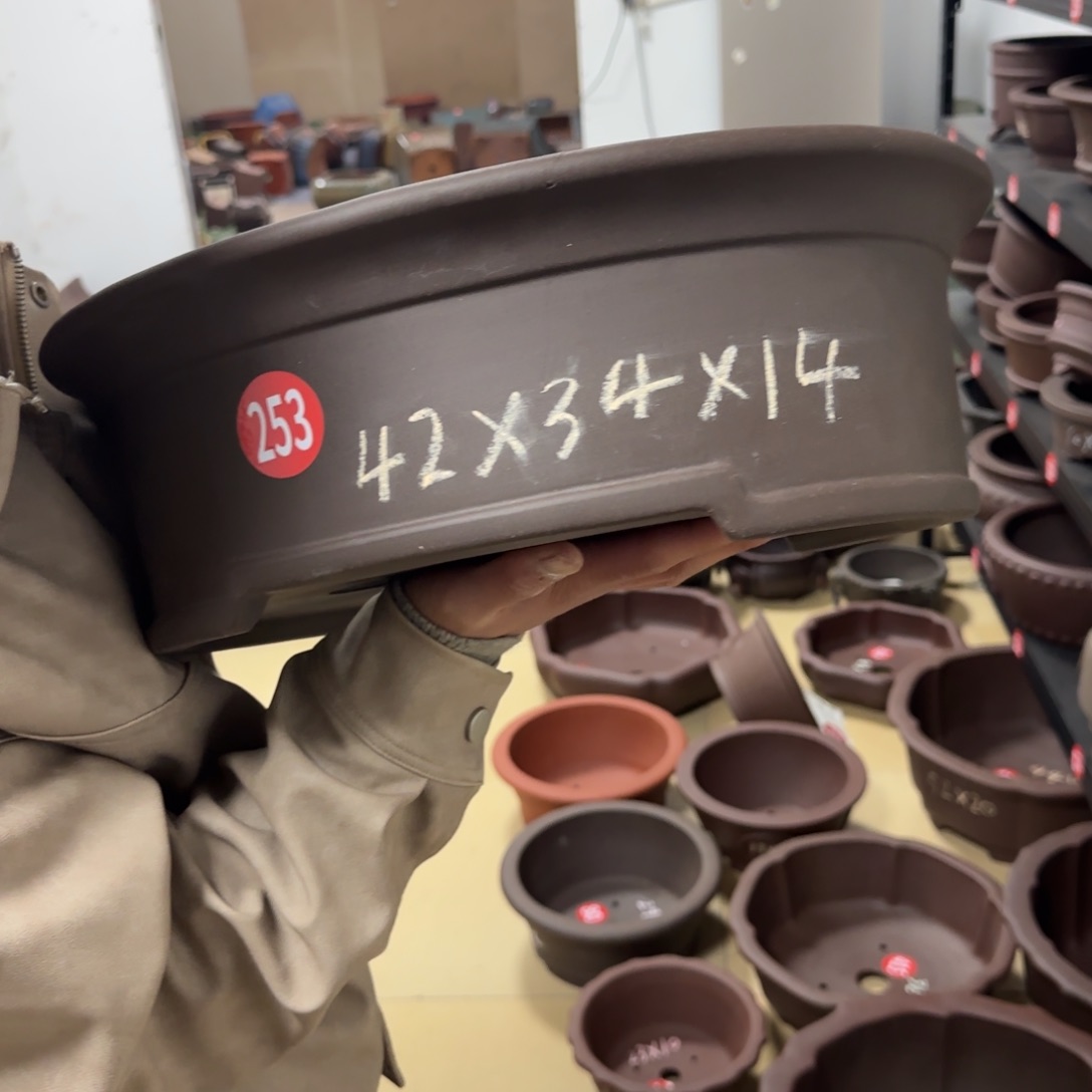 紫砂花盆呜呜呜呜