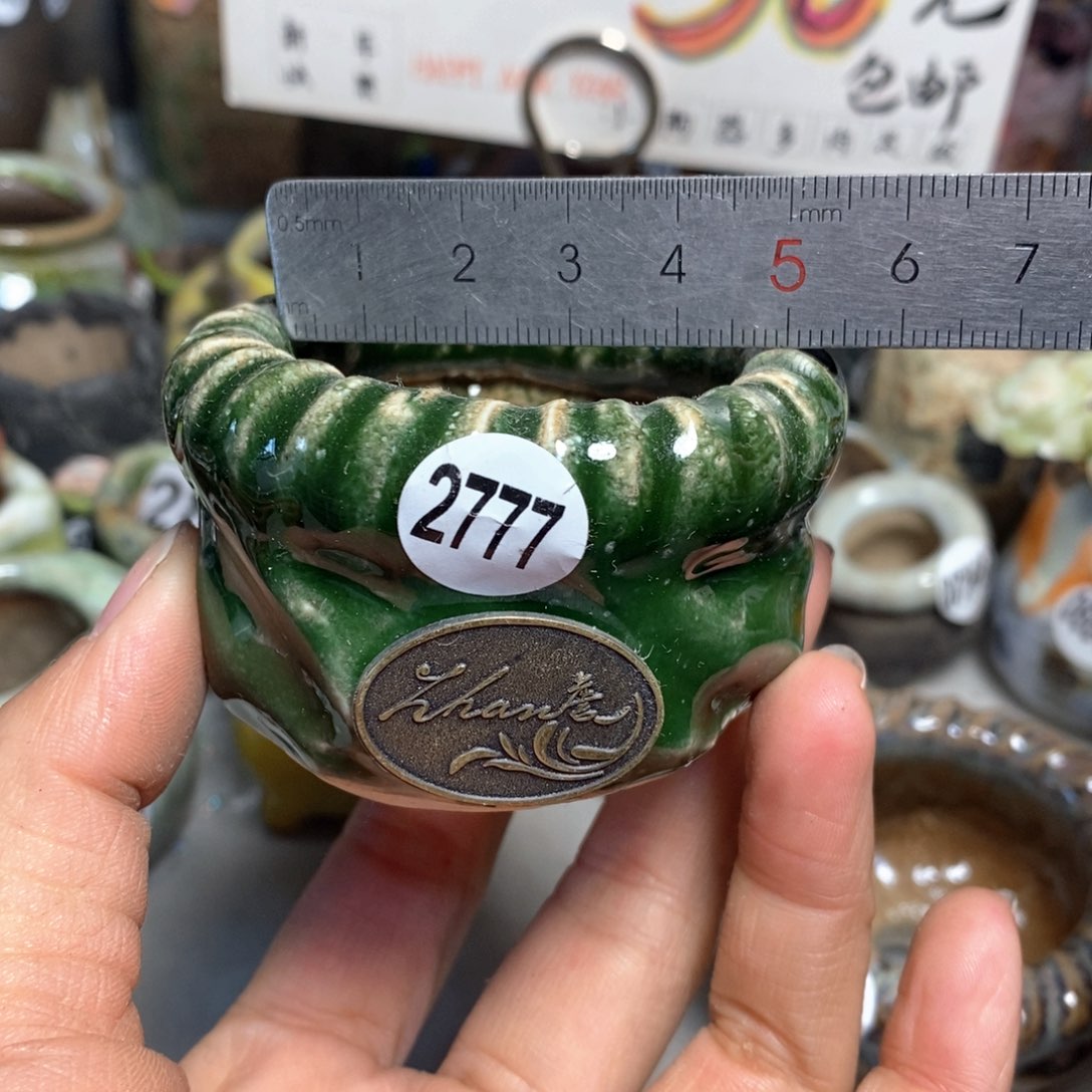 特价花盆拍5送一个小礼物