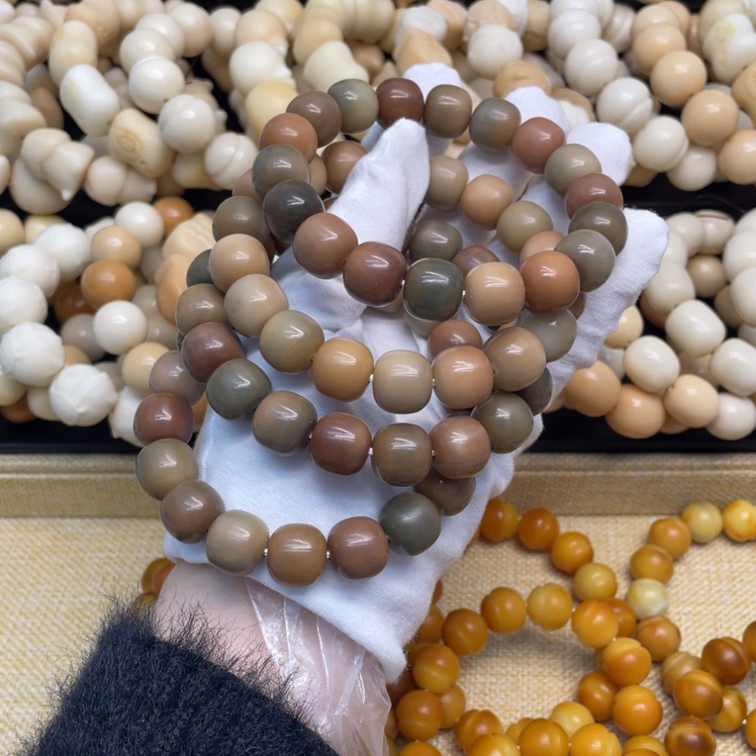 菩提根/象牙果吊坠14干磨浓郁莫奈花园桶福利一锅308