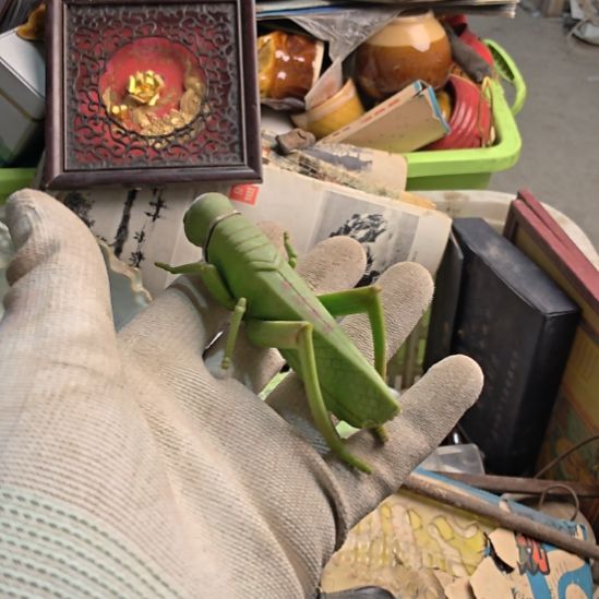 往***风衣服啊啊啊啊啊啊啊啊