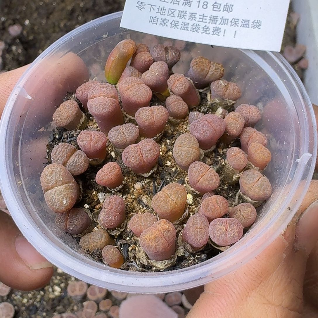 2569哈哈哈哈哈哈哈哈哈