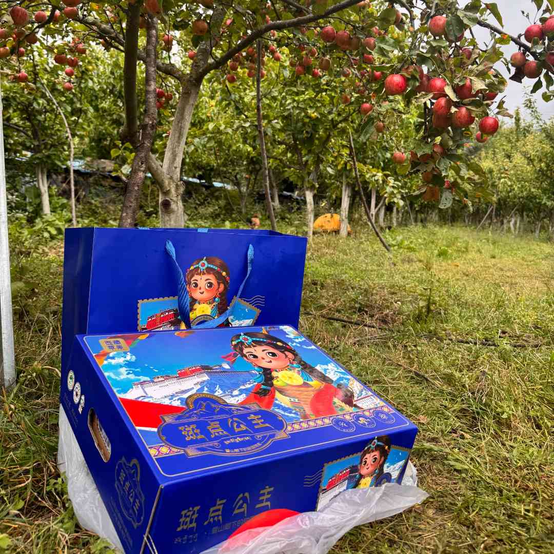 西藏林芝地理标志苹果高级礼盒装