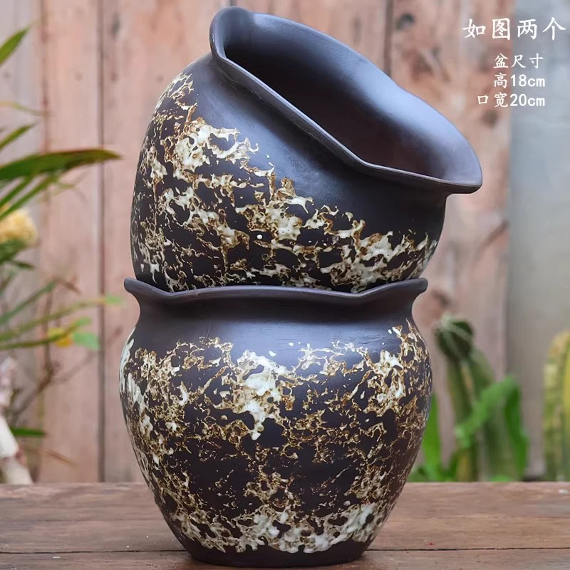 大口径花边口粗陶透气花盆适合多肉绿植老桩三角梅等盆栽