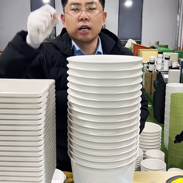 正品矮陶口24高17白色6只无托