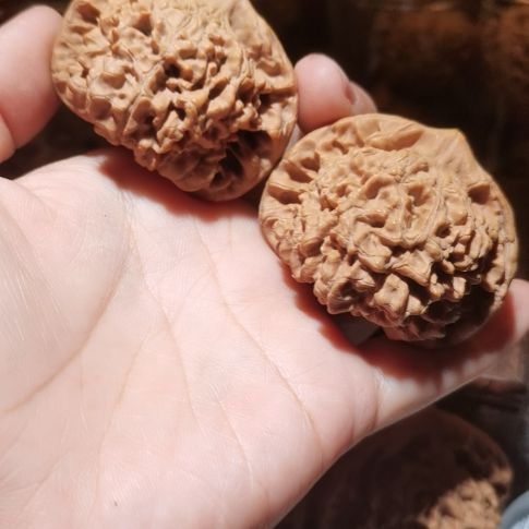 猴头核桃吊坠50龙鼎官