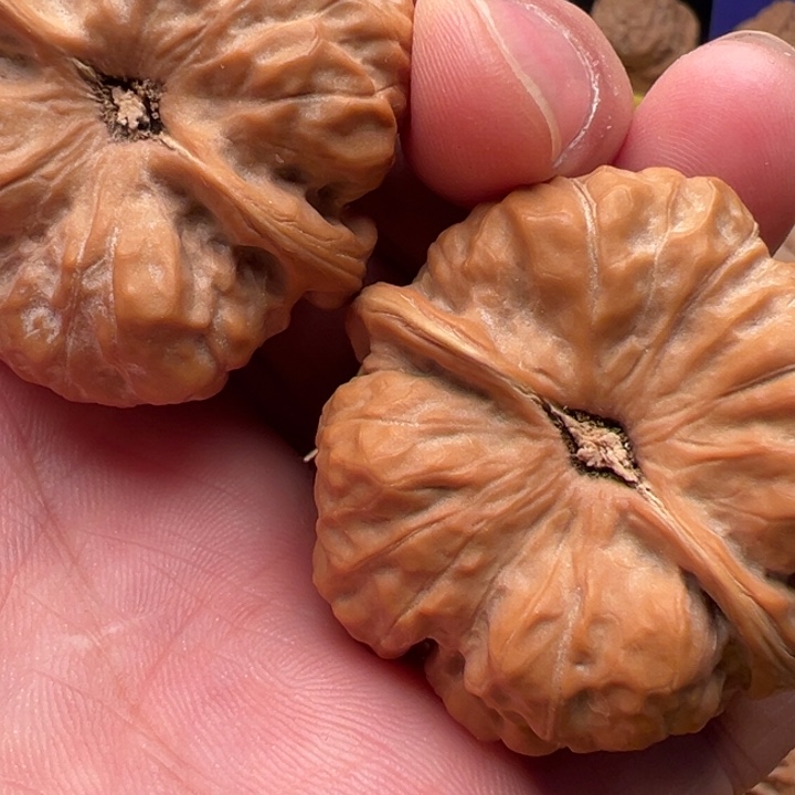 小***渣文玩核桃文玩核桃