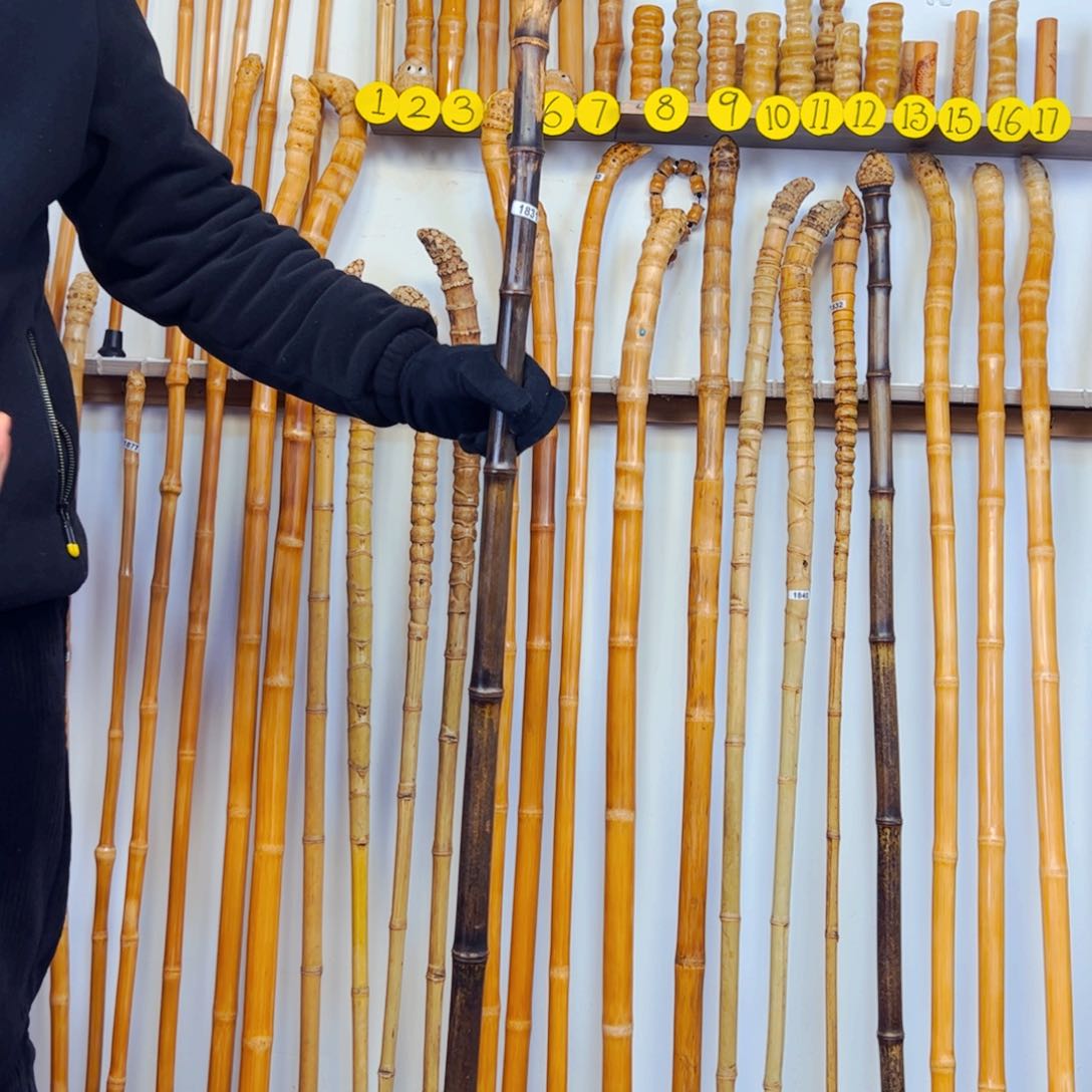 1831紫竹杖登山杖手持拐棍