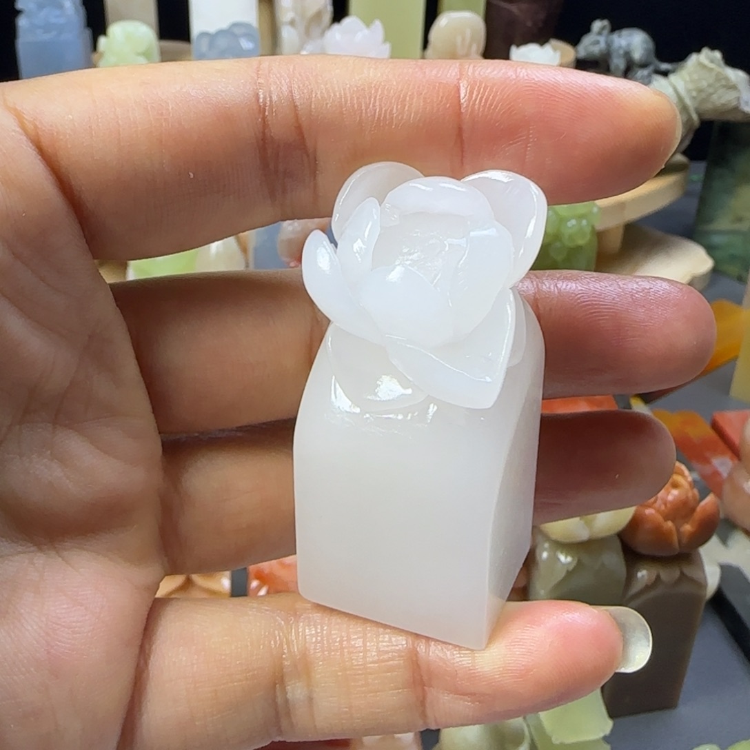 云南印石莲花花卉