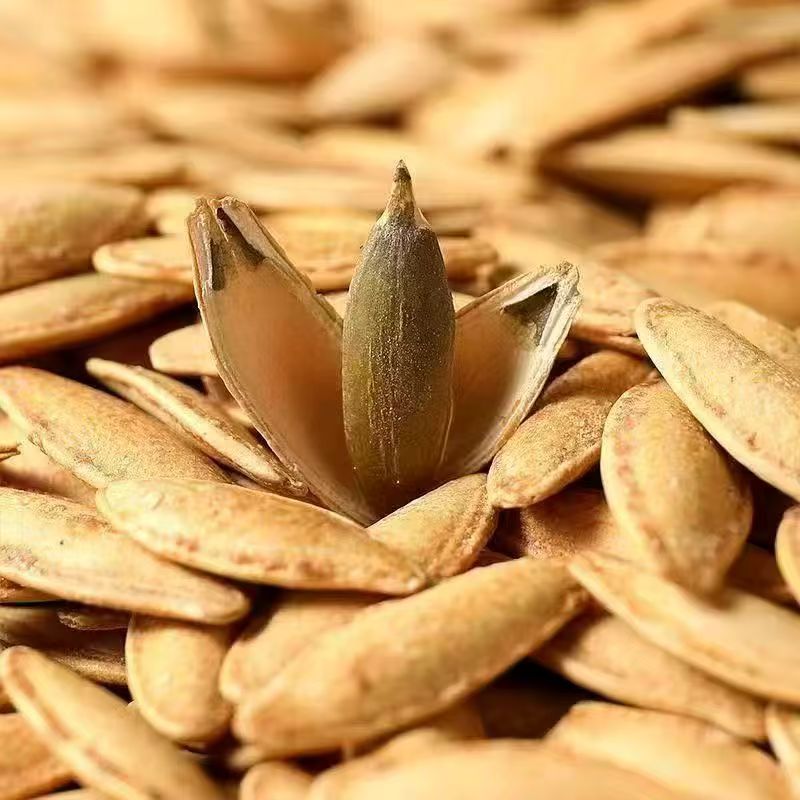 正宗美人甲长粒椒盐炒熟美指甲南瓜子饱满小包便携带休闲零食