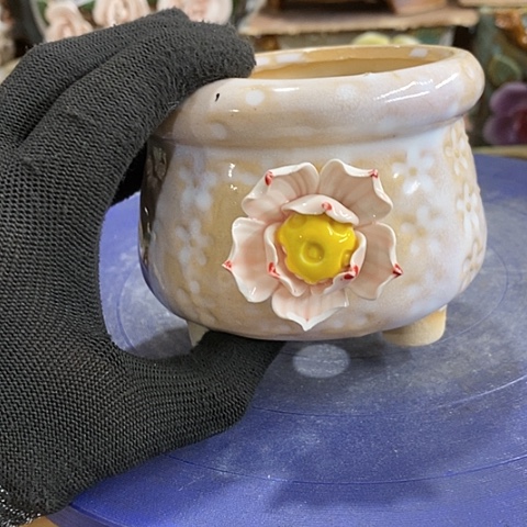 【闪购商品】红陶1