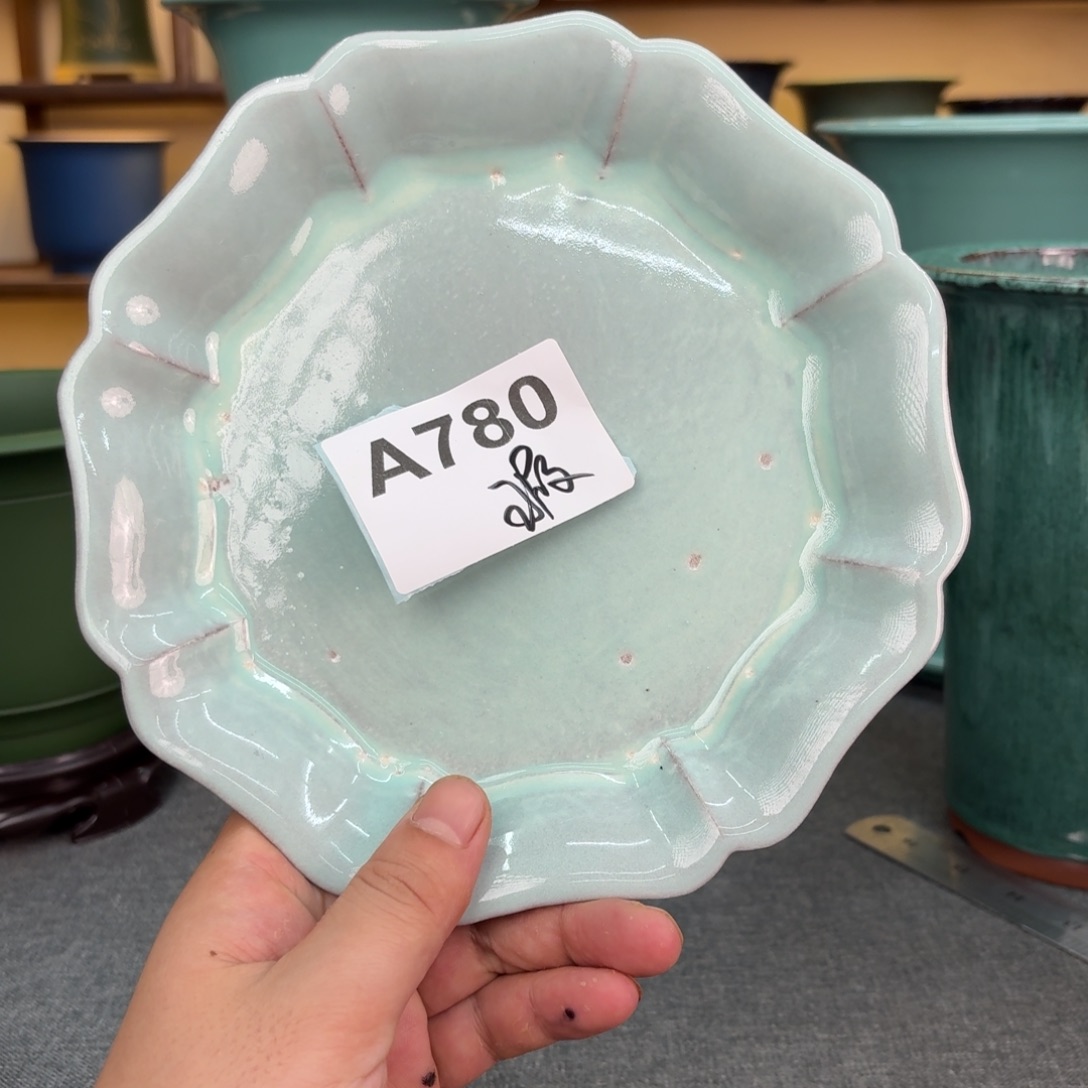 昸***儿紫砂花盆兰花45885688588