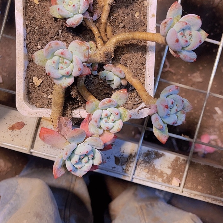 人***儿不用急啊哈嘛亲爱我好