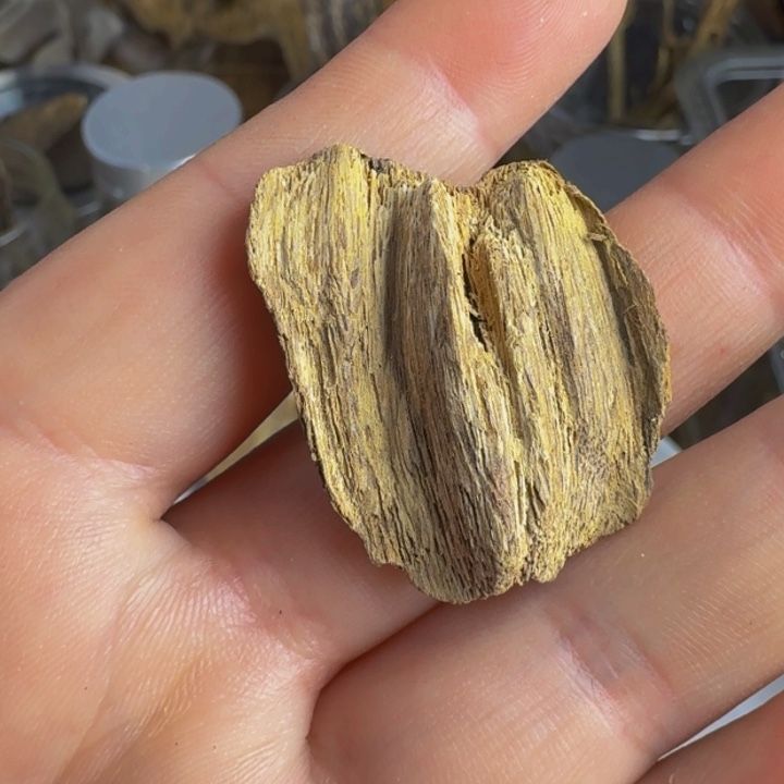 沉香沉香枕熟结虎斑棋1.31克