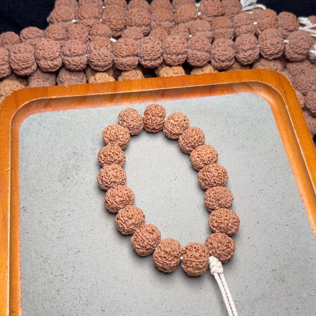 菩提28号金刚菩提六瓣18