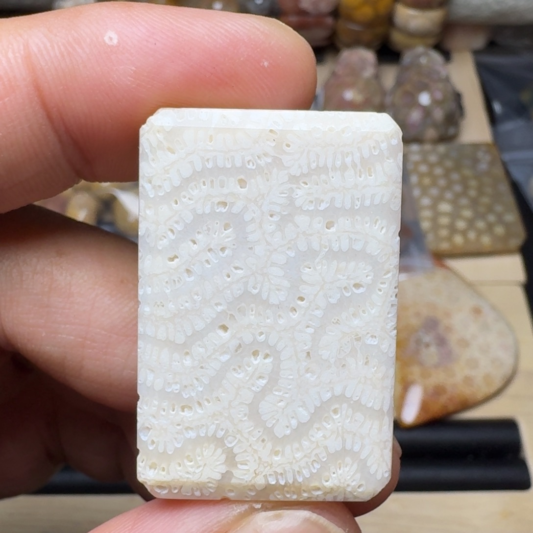 硅化珊瑚（珊瑚玉）未镶嵌纯天然色有机玉石保真色