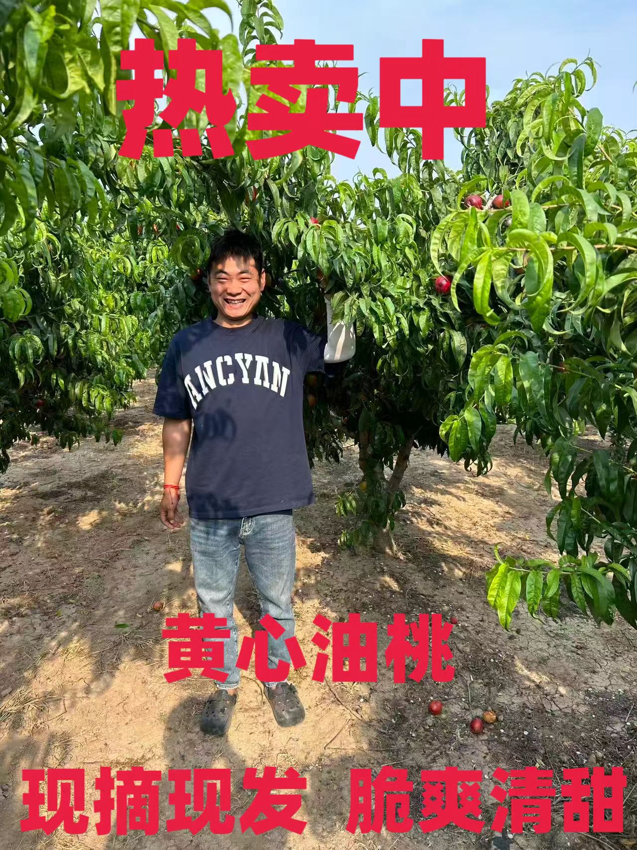 油桃黄心麻点油桃自然成熟现摘现发应季新鲜水果软糯香甜蜜桃黄肉