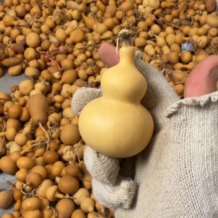 29号9.9福利价格不退不换5