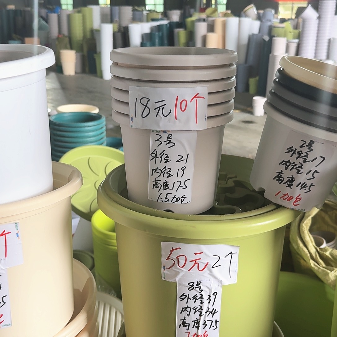 微瑕3号无拖10个灰白