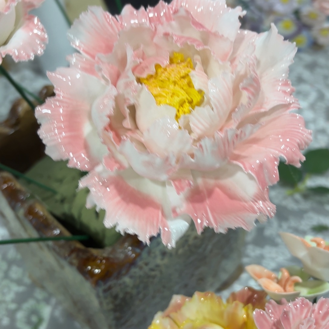 陶瓷花，20发货，退款拉黑