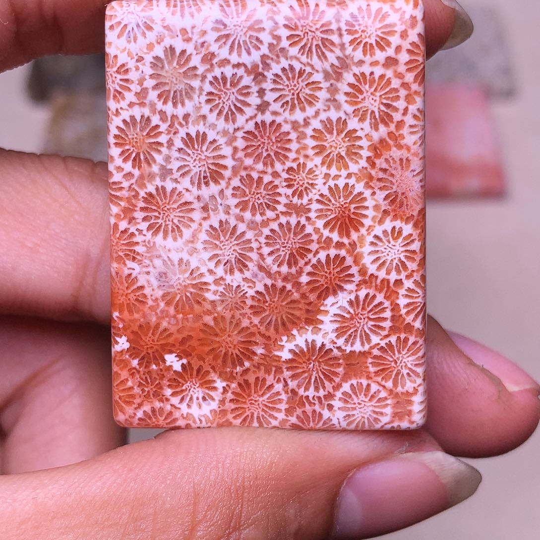 江***雪硅化玉合金珊瑚玉