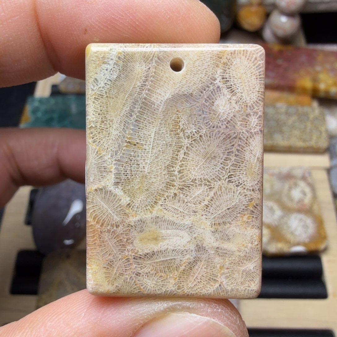 硅化玉未镶嵌纯天然色有机玉石保真色