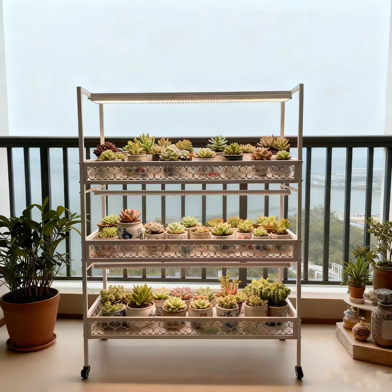 知三月爱心款置物多肉花架透气大承重植物花卉花架（不含补光灯）