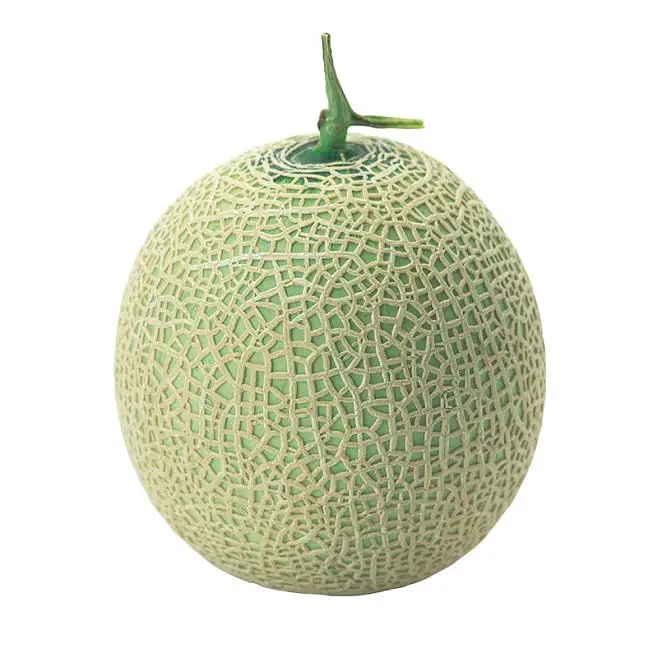 【网纹瓜】网纹瓜甜瓜软瓤甜瓜新鲜水果顺丰包邮