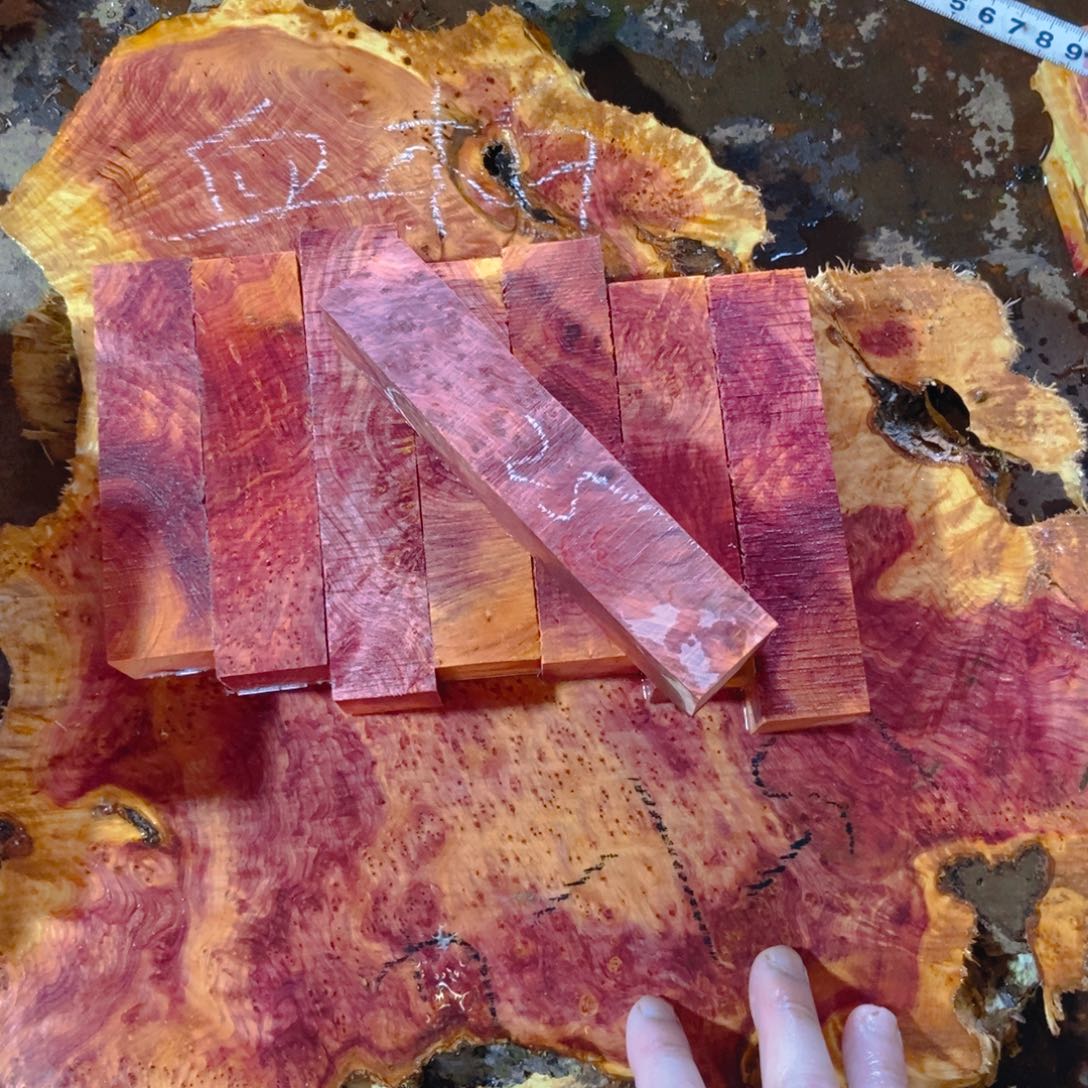 用****6血柏血柏血柏