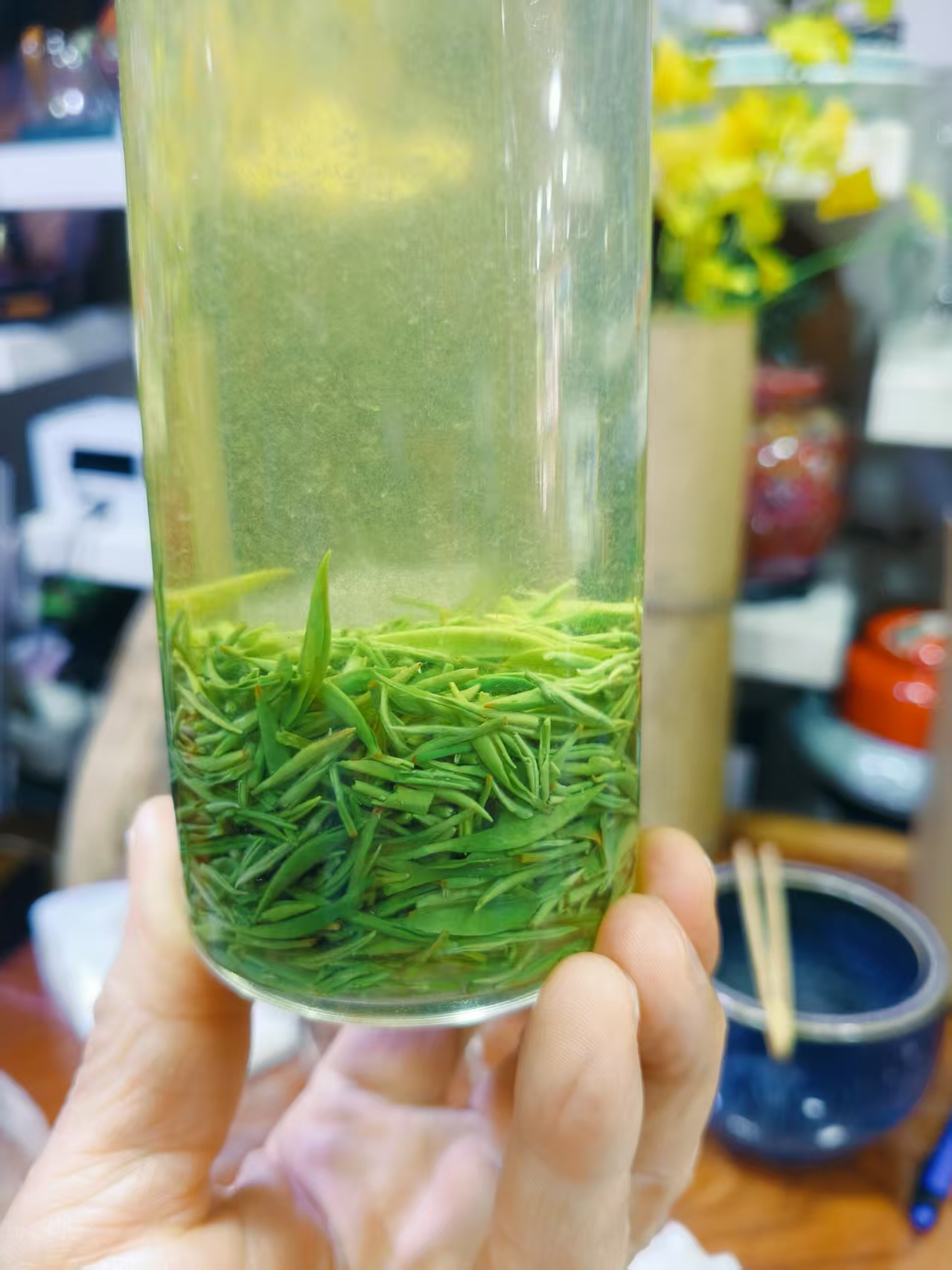 品三口茶业《2025年新茶——明前新春高山头采嫩芽》