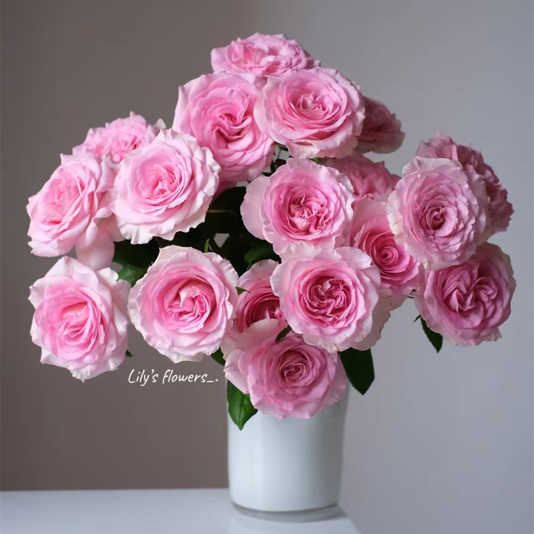 特价『洛神玫瑰10枝』家居好花 全场任意满两单鲜花顺丰包邮 三单鲜花送玻璃花瓶鲜花直播批发次日达包邮