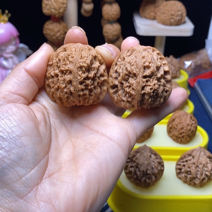 木质40全品南疆石 7号车