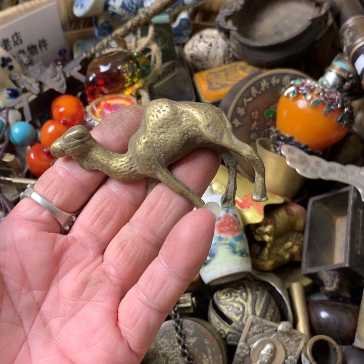 头***道一物一拍所见即所得